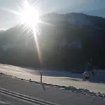 Alte Schmiede