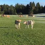 Alte Schmiede Balderschwang