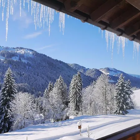 Apartmán Alte Schmiede