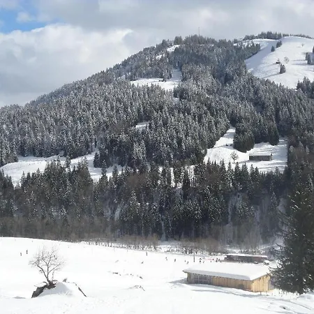 Apartmán Alte Schmiede Balderschwang