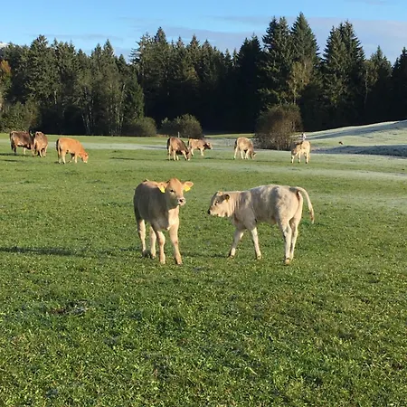 Alte Schmiede Balderschwang