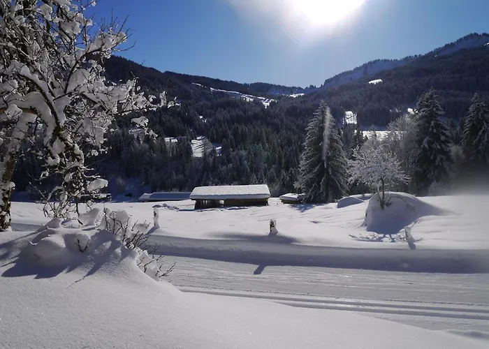 Appartamento Alte Schmiede Balderschwang
